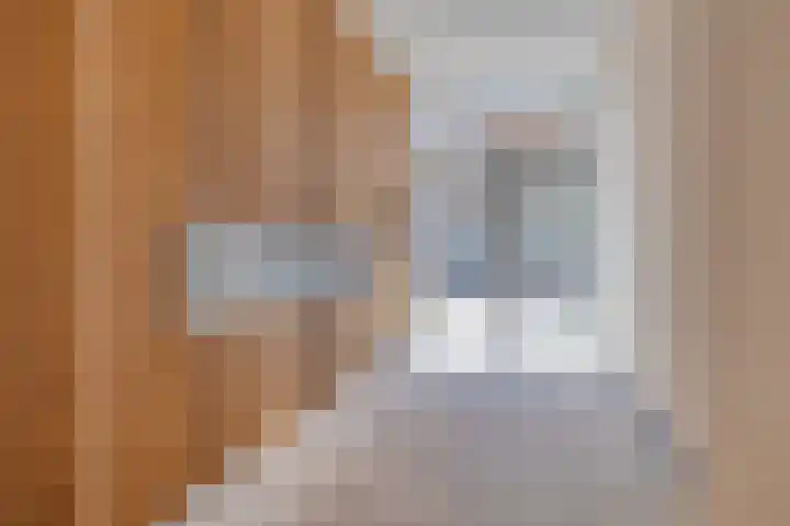 Oosthavendijk 128 Middelharnis thumbnail 6