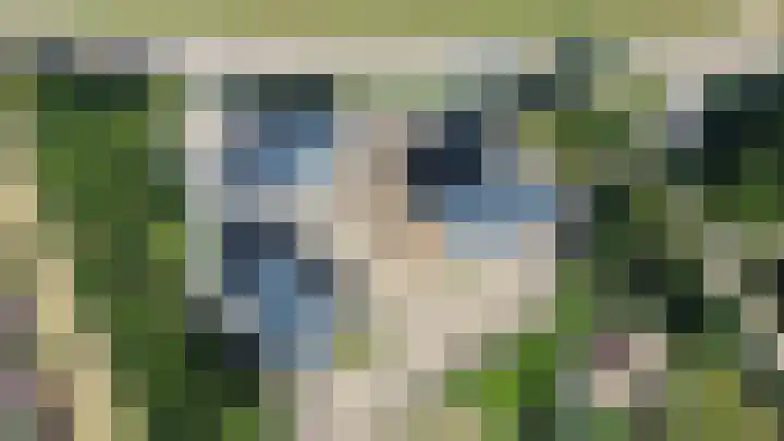 Oosthavendijk 142 Middelharnis thumbnail 6
