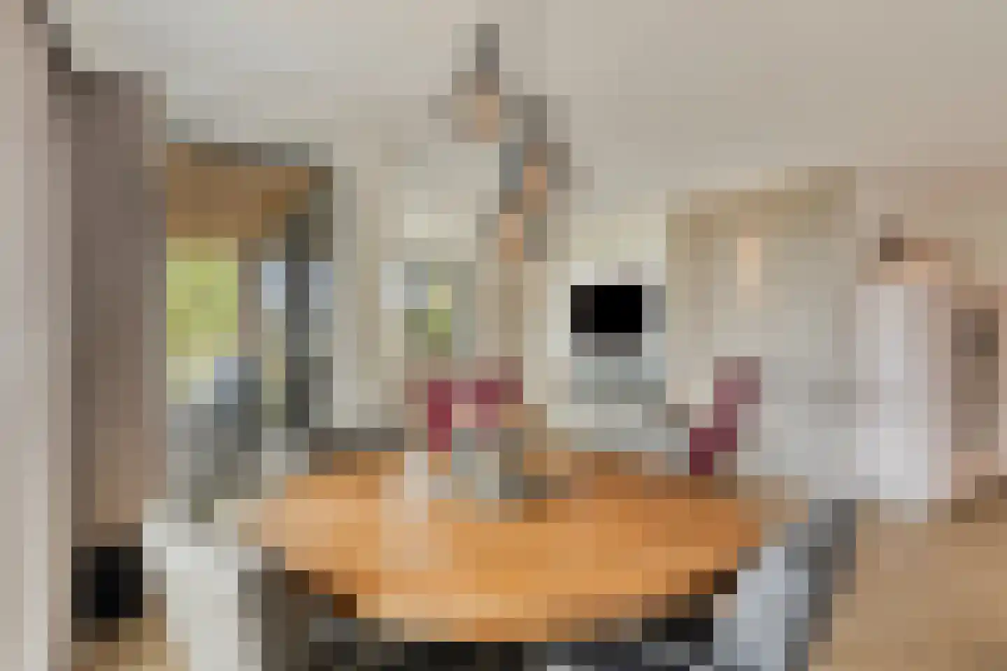 Oosthavendijk 147 Middelharnis thumbnail 23
