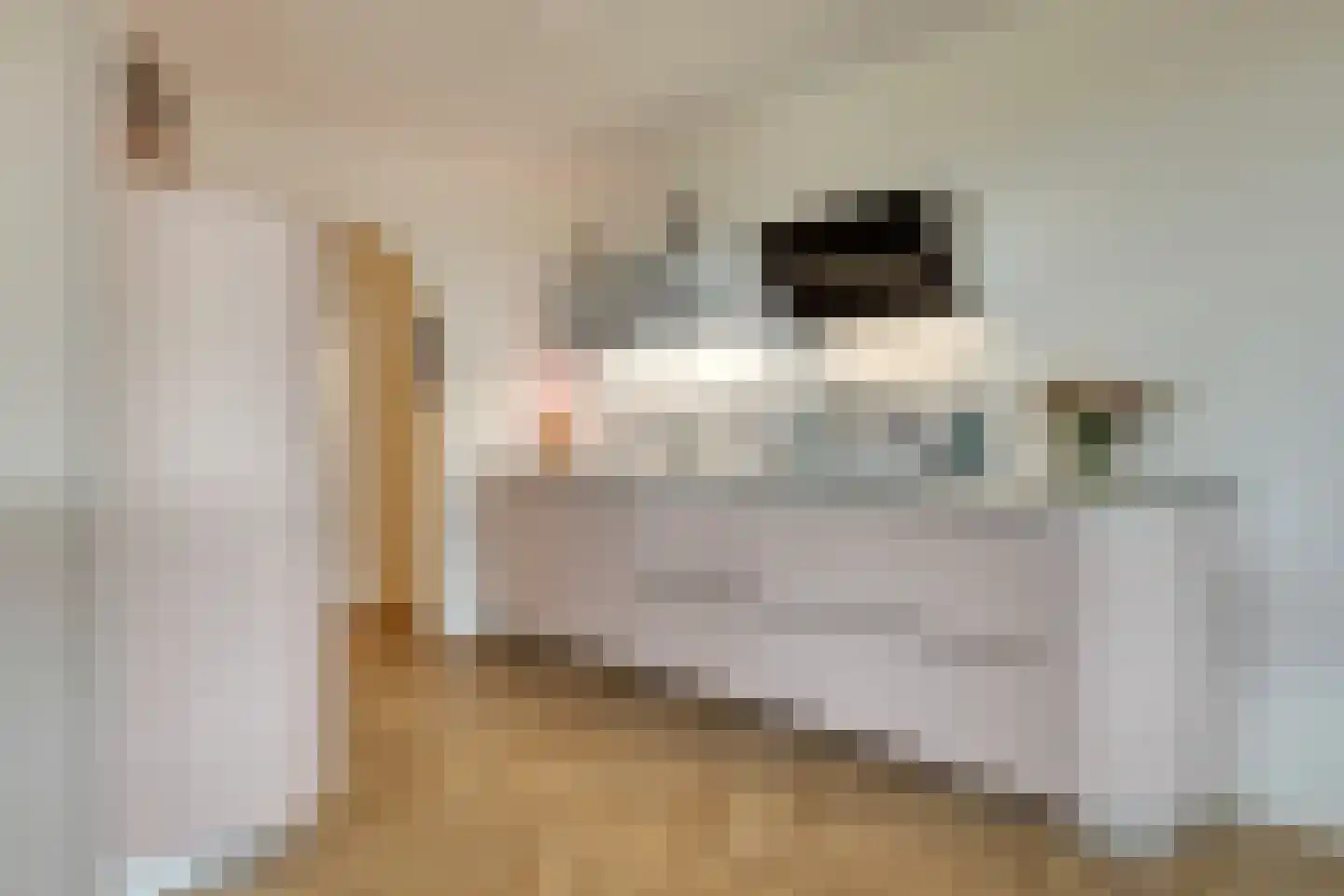 Oosthavendijk 147 Middelharnis thumbnail 25
