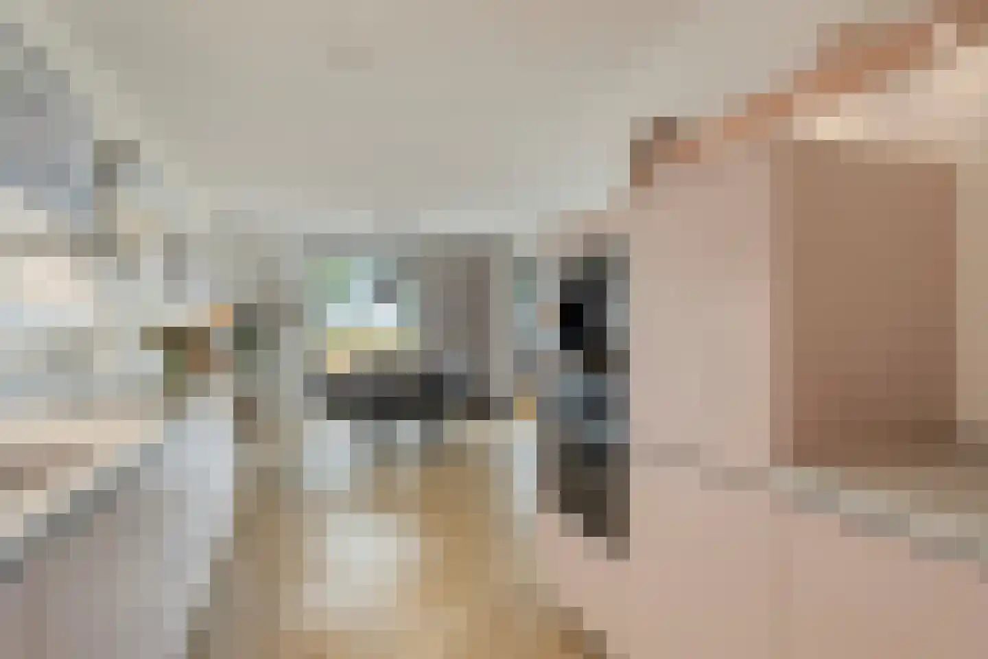 Oosthavendijk 147 Middelharnis thumbnail 30