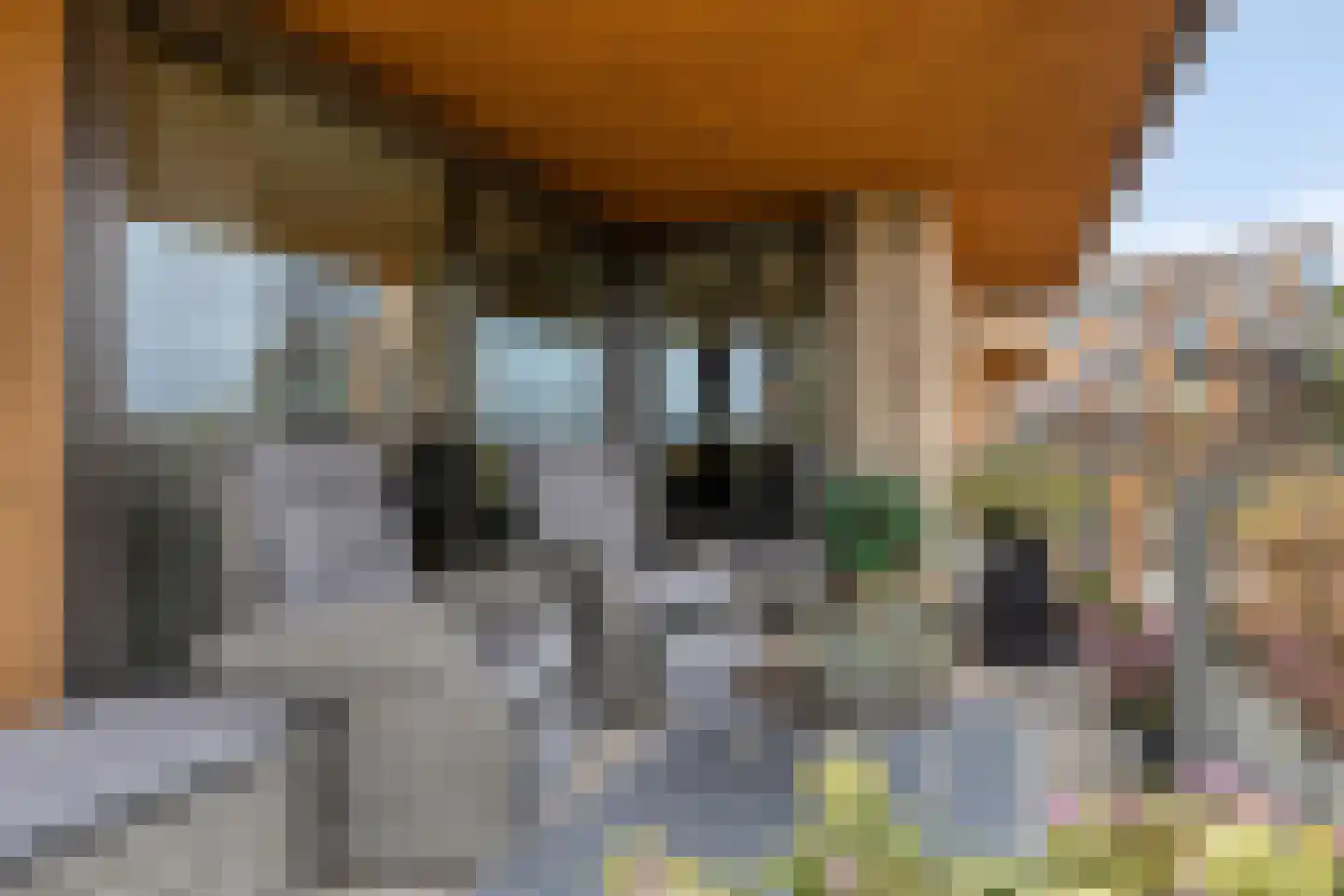 Oosthavendijk 147 Middelharnis thumbnail 32