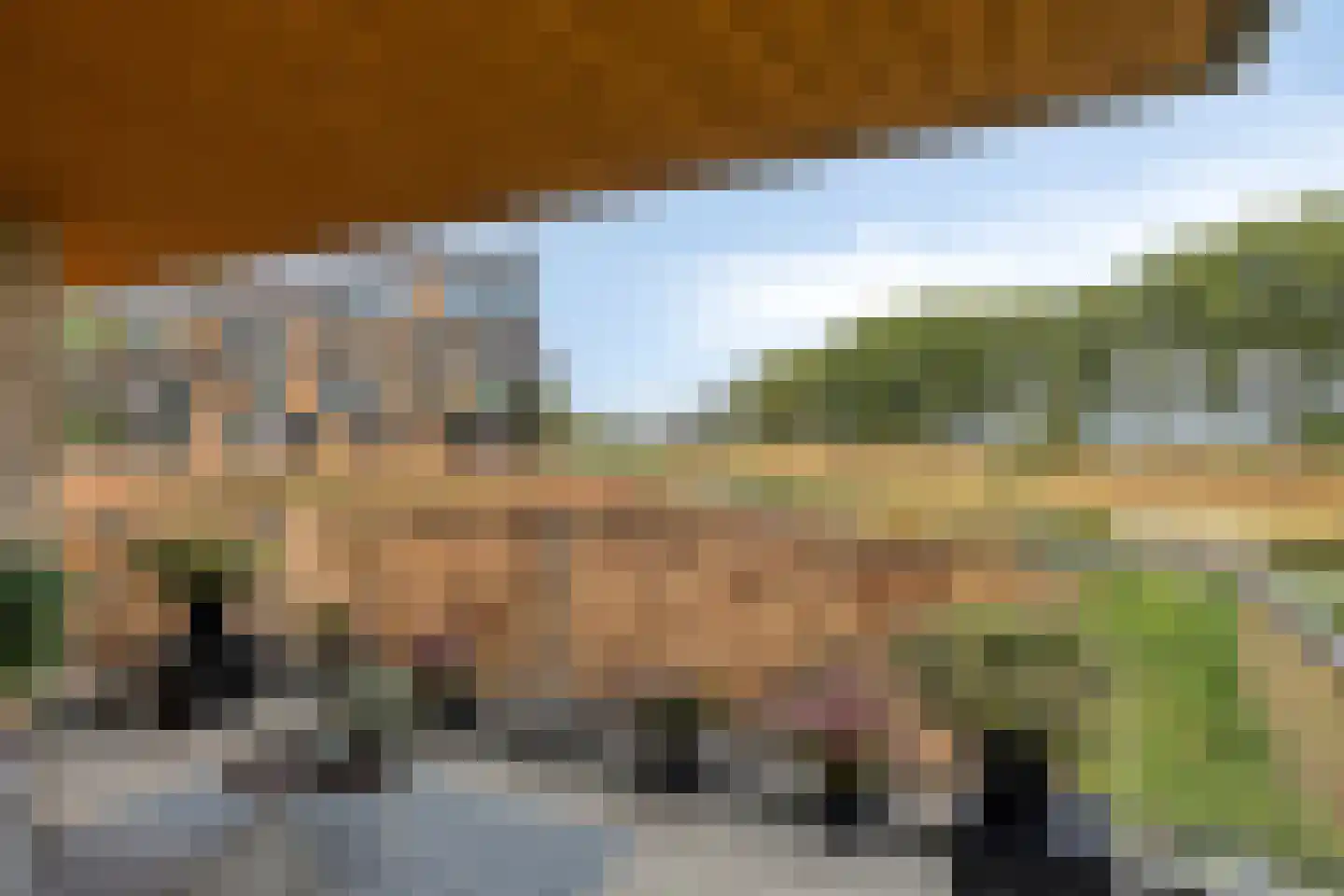 Oosthavendijk 147 Middelharnis thumbnail 33