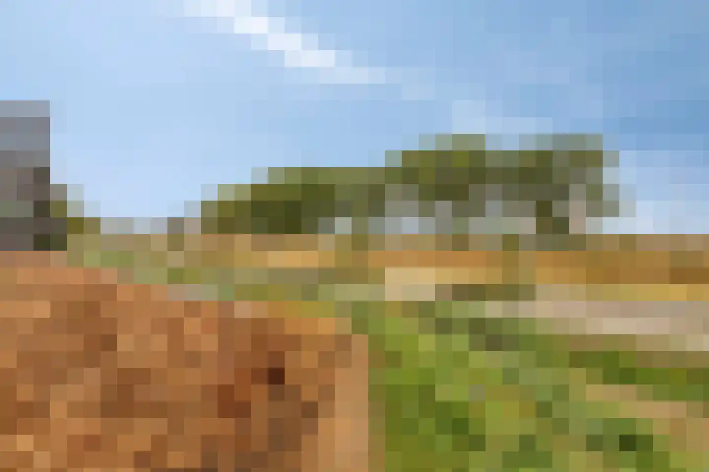 Oosthavendijk 147 Middelharnis thumbnail 37