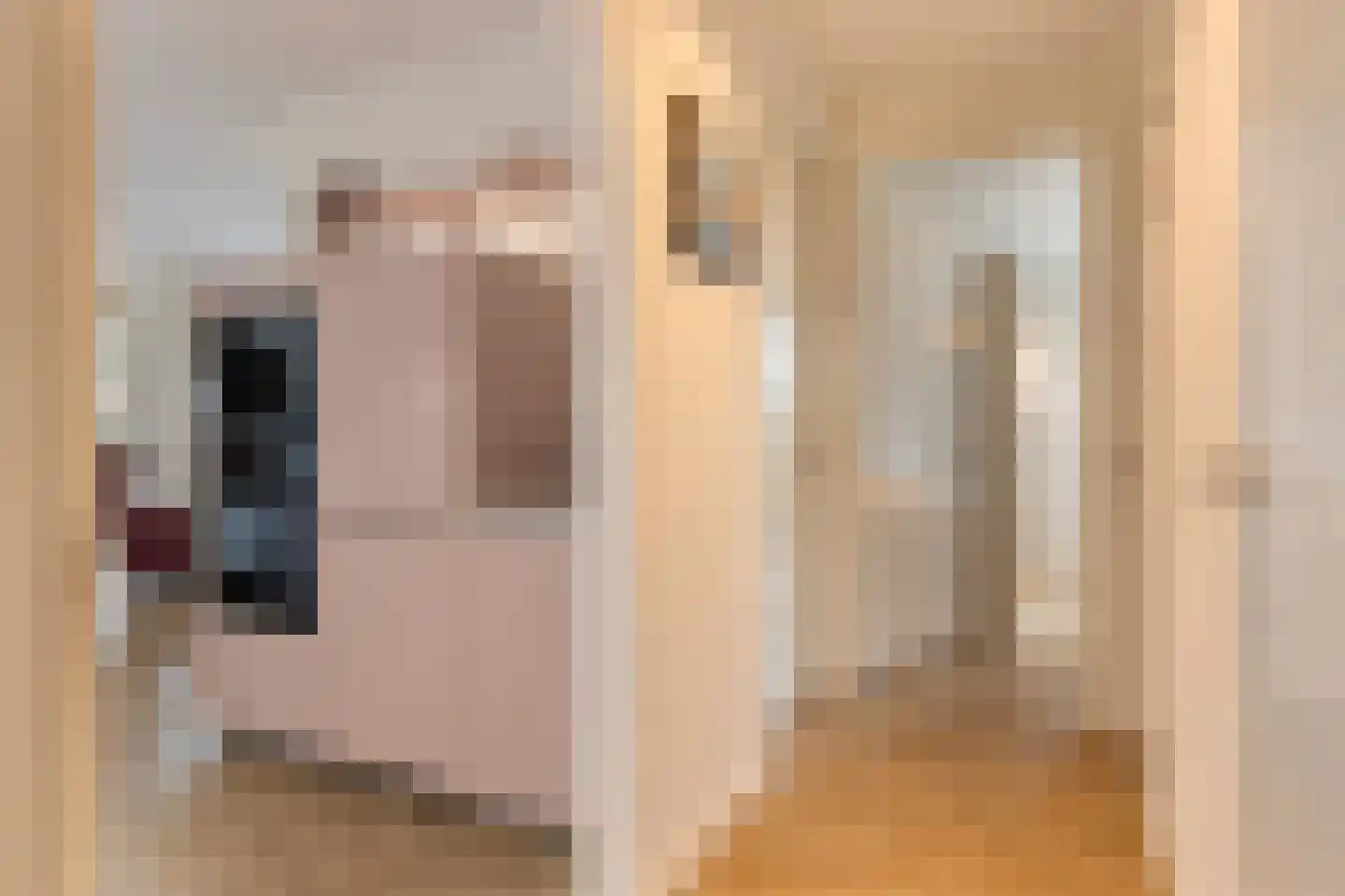 Oosthavendijk 147 Middelharnis thumbnail 38
