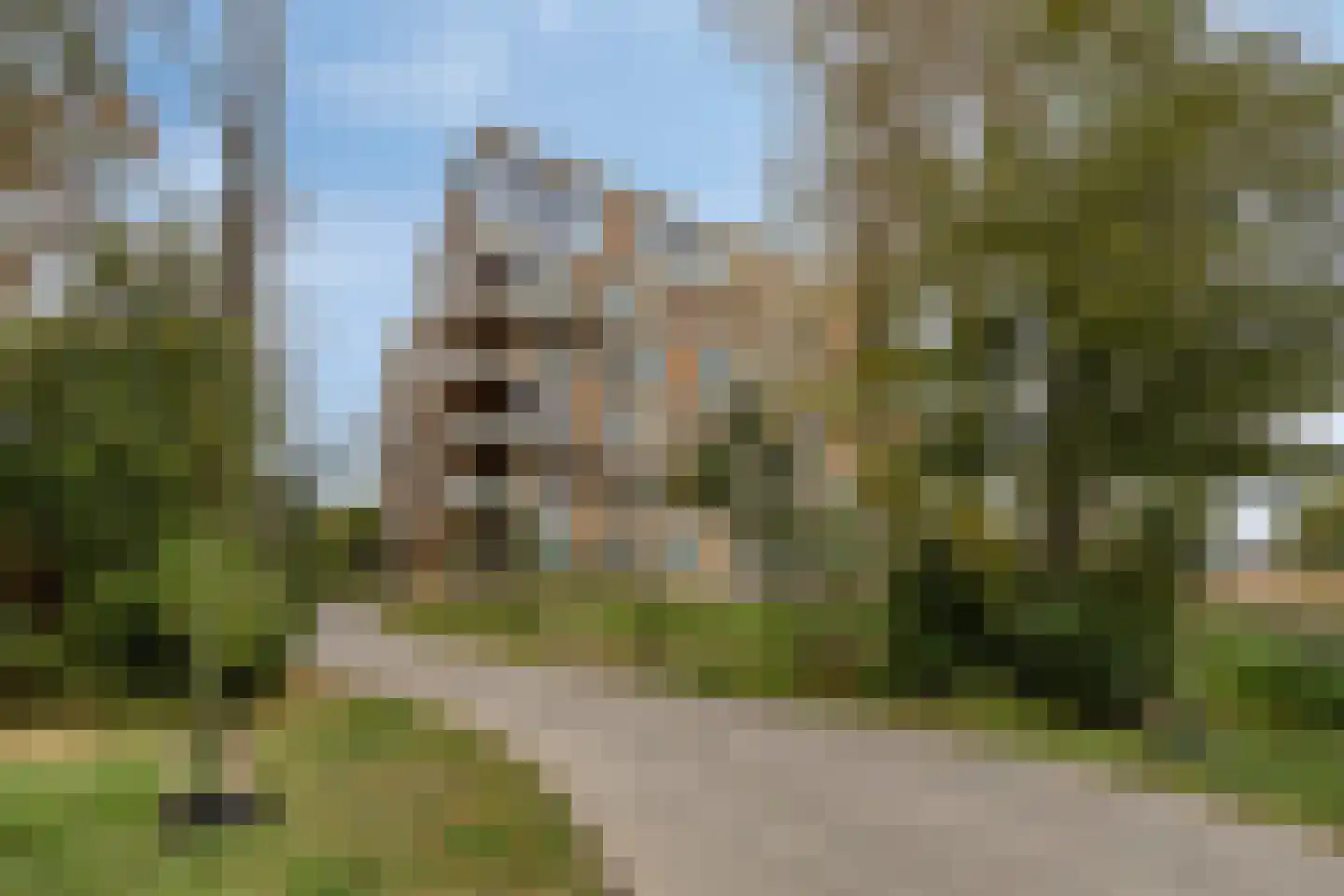 Oosthavendijk 147 Middelharnis thumbnail 57