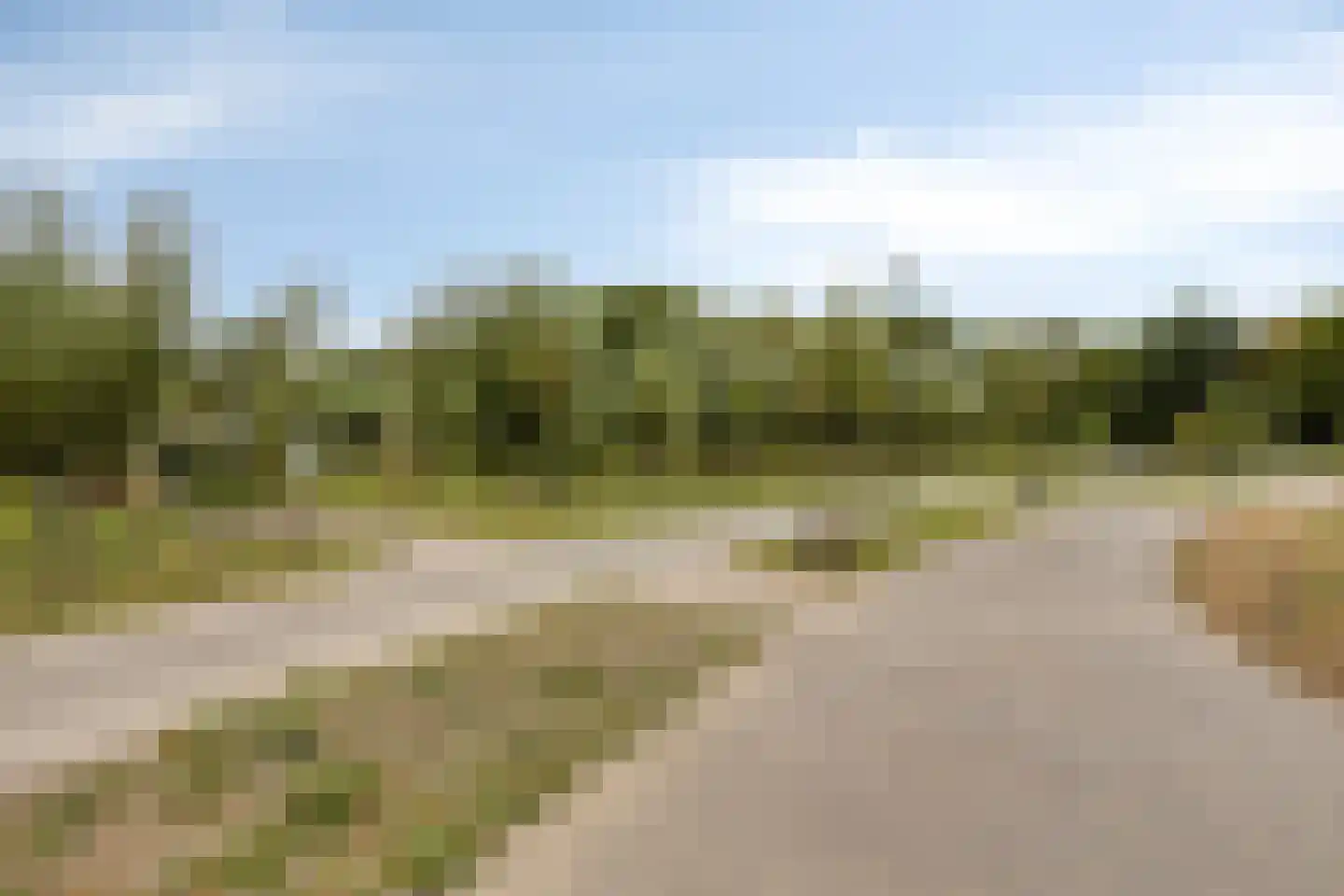 Oosthavendijk 147 Middelharnis thumbnail 58