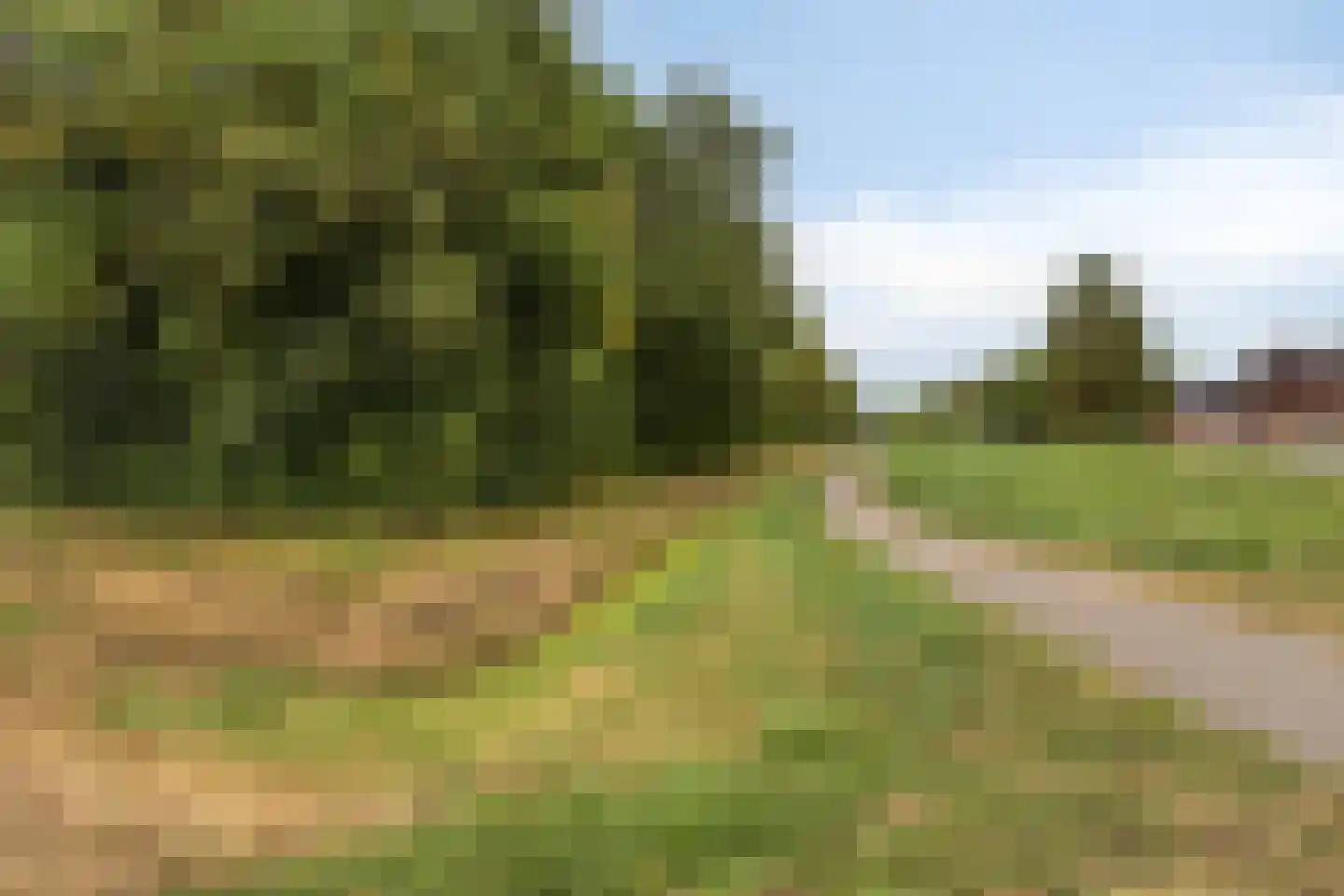 Oosthavendijk 147 Middelharnis thumbnail 59