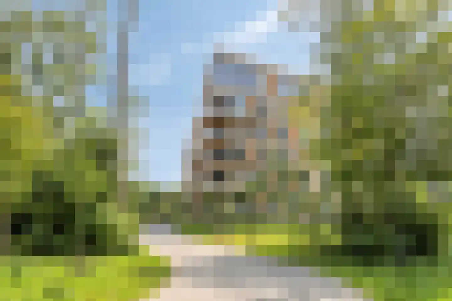 Oosthavendijk 158 Middelharnis thumbnail 30
