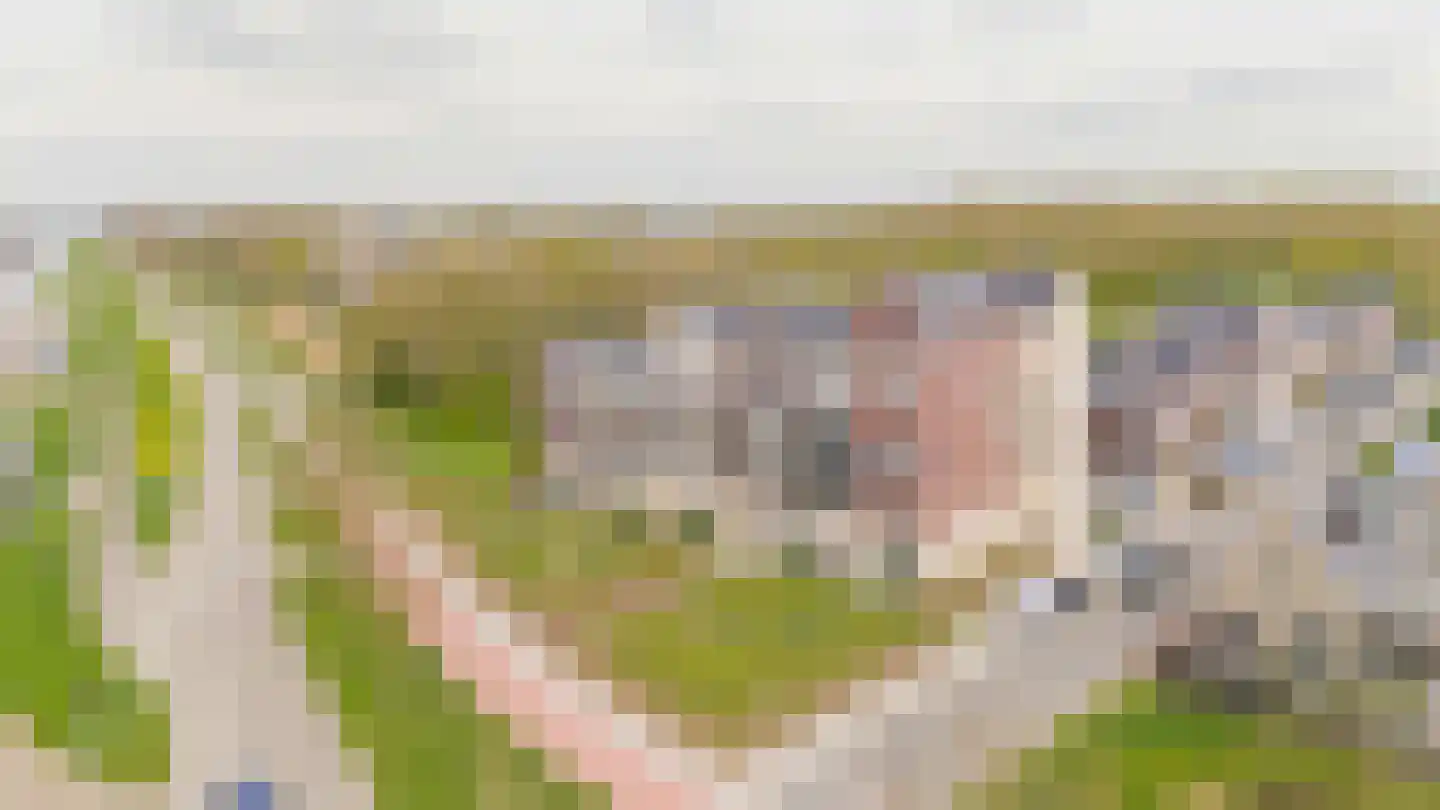 Oosthavendijk 18 s Middelharnis thumbnail 45