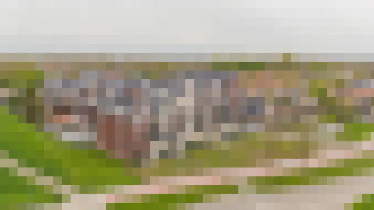 Oosthavendijk 18 s Middelharnis thumbnail 47