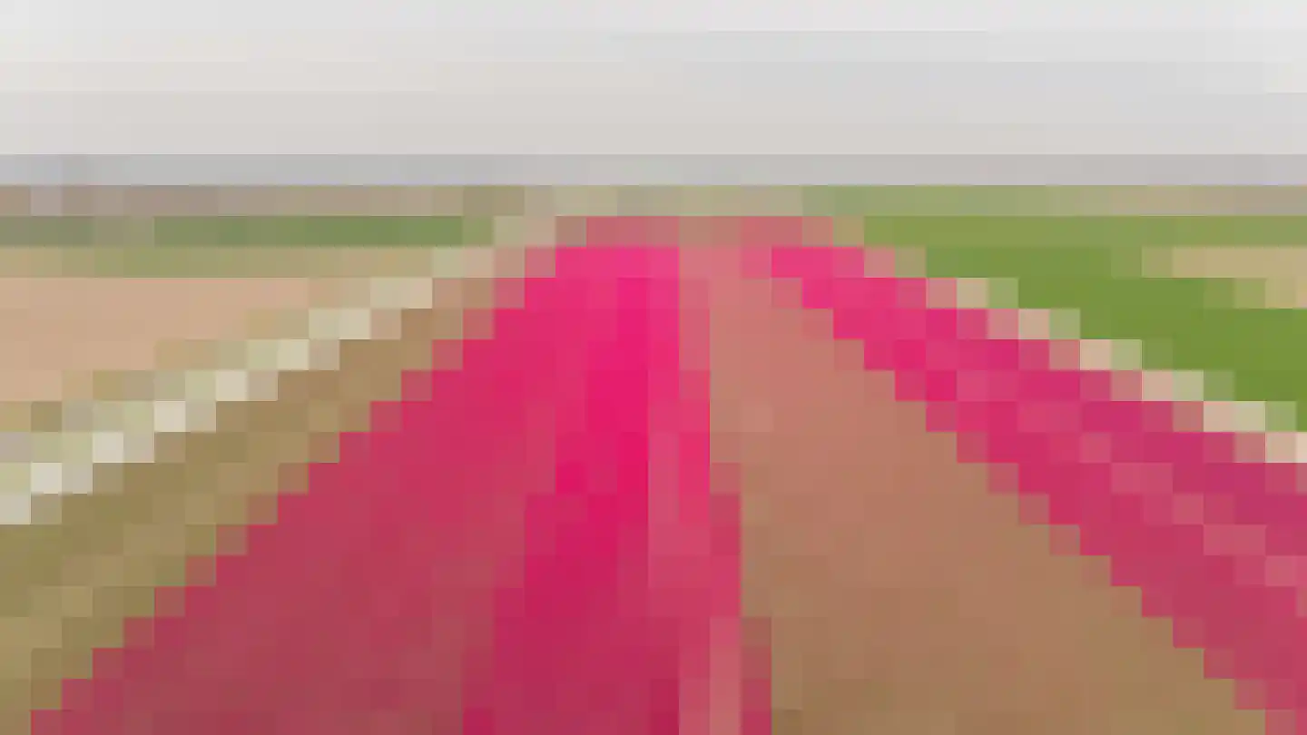 Oosthavendijk 18 s Middelharnis thumbnail 48