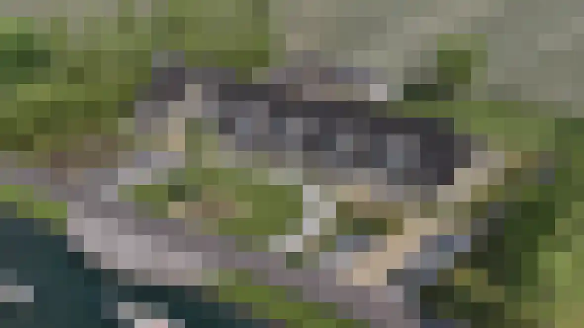 Oosthavendijk 21 03 Wilhelminadorp thumbnail 7