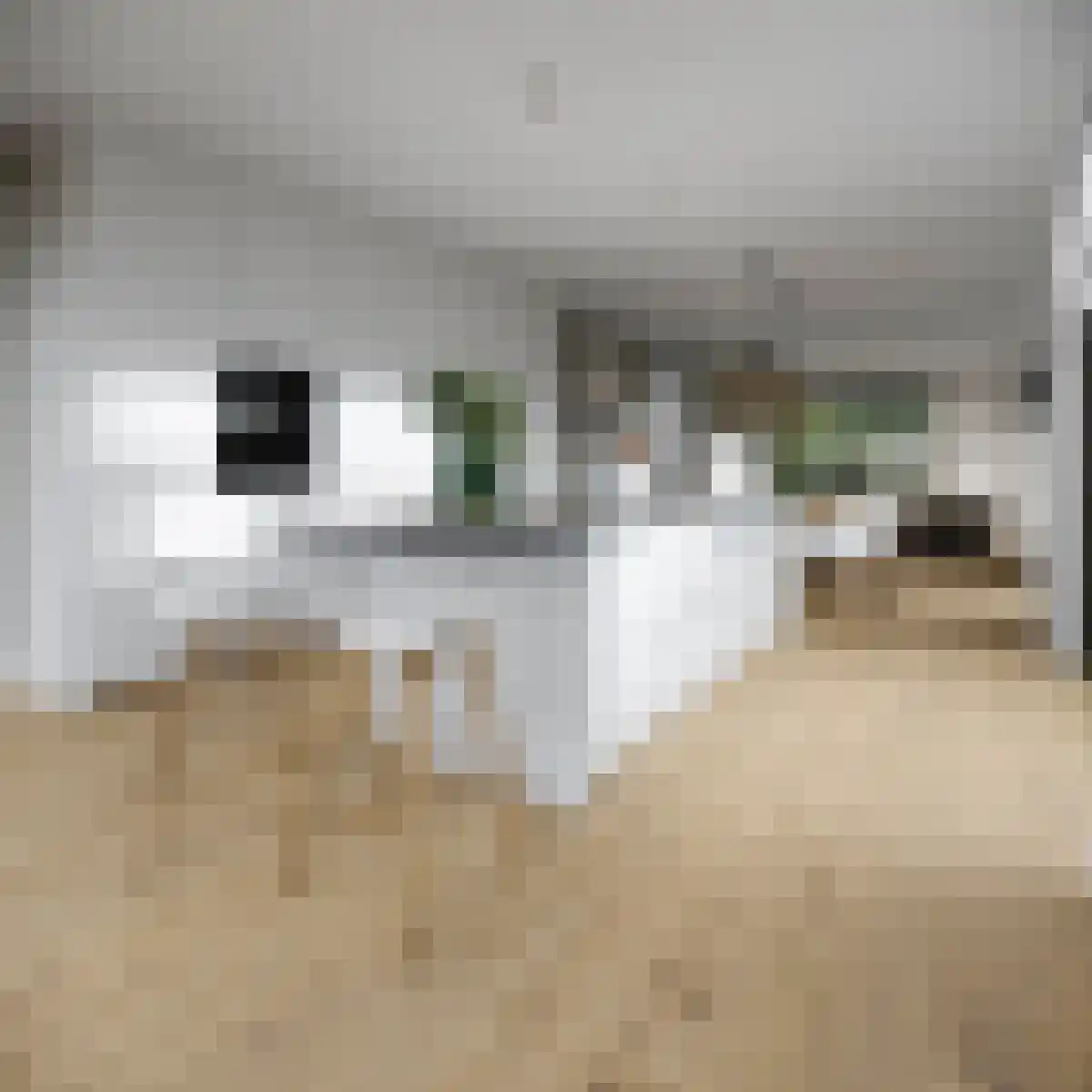 Oosthavendijk 30 Middelharnis thumbnail 5