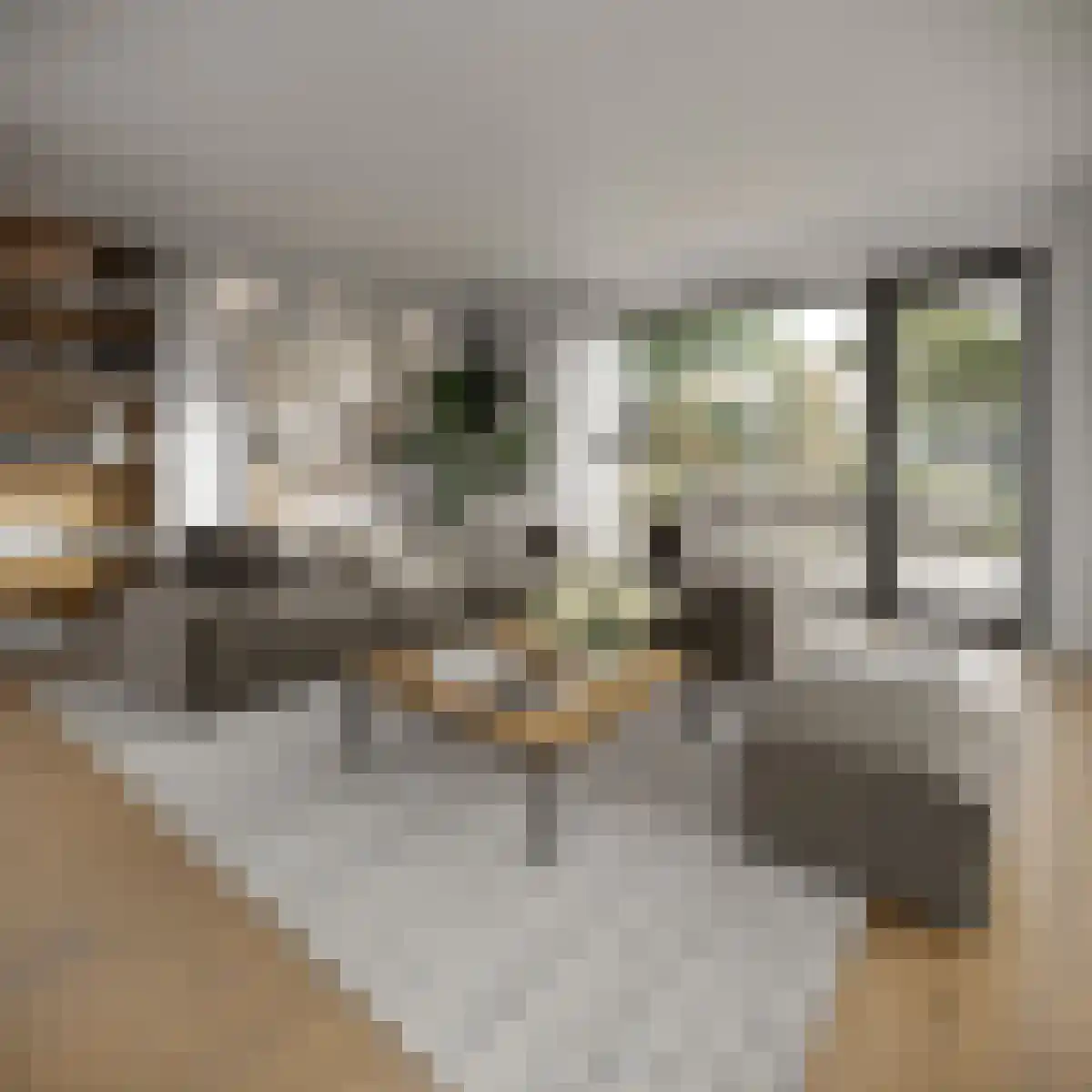 Oosthavendijk 32 Middelharnis thumbnail 6