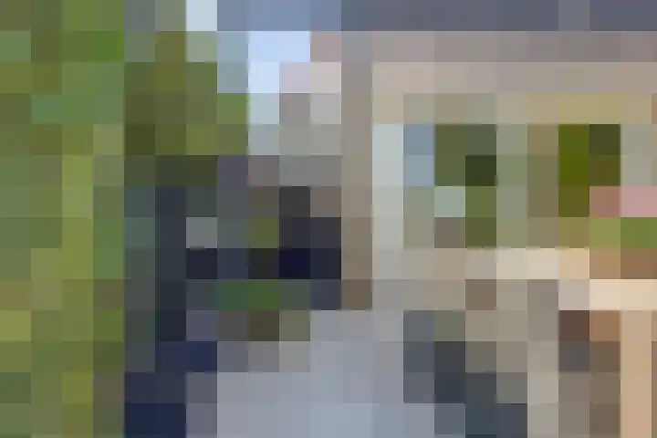 Oosthavendijk 37 Wilhelminadorp thumbnail 33