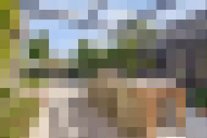 Oosthavendijk 37 Wilhelminadorp thumbnail 36