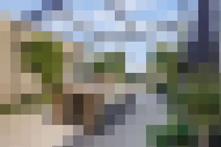 Oosthavendijk 37 Wilhelminadorp thumbnail 37