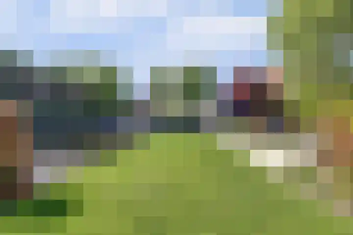 Oosthavendijk 37 Wilhelminadorp thumbnail 41