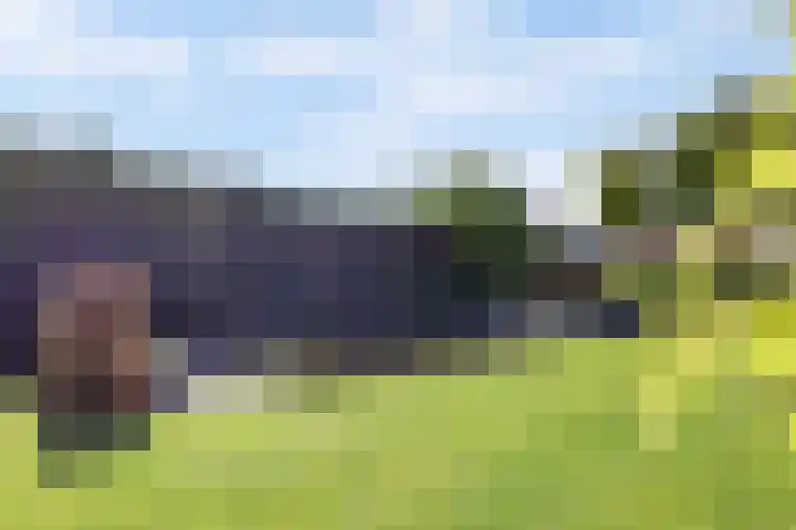 Oosthavendijk 37 Wilhelminadorp thumbnail 42