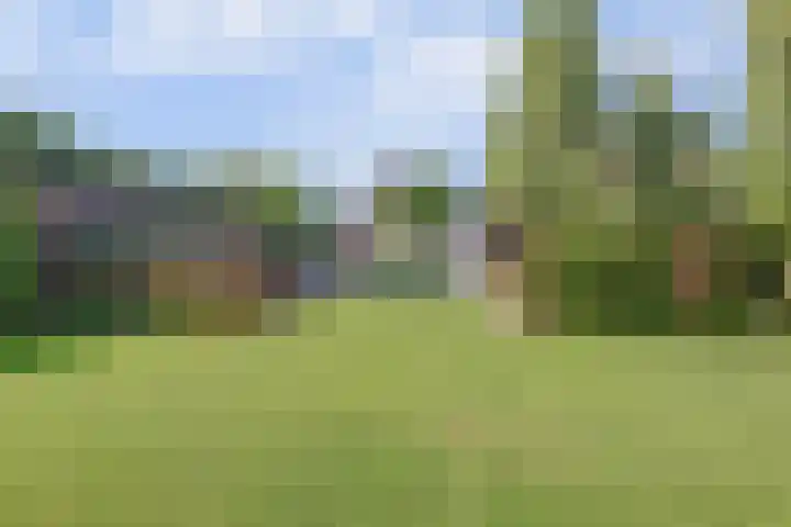 Oosthavendijk 37 Wilhelminadorp thumbnail 43