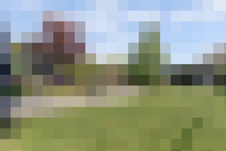 Oosthavendijk 37 Wilhelminadorp thumbnail 45