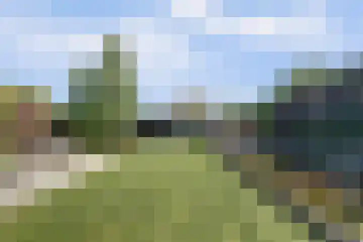 Oosthavendijk 37 Wilhelminadorp thumbnail 46
