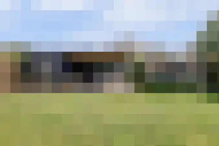 Oosthavendijk 37 Wilhelminadorp thumbnail 48