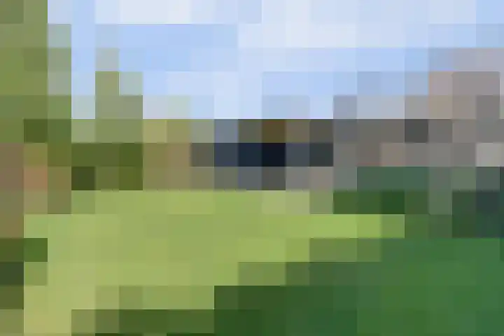 Oosthavendijk 37 Wilhelminadorp thumbnail 49