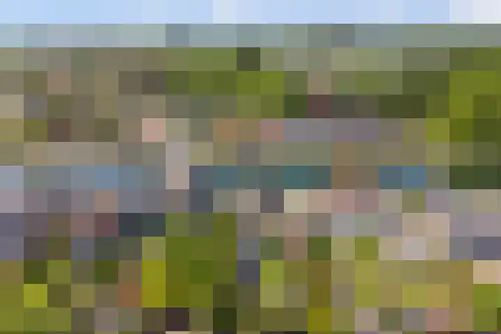 Oosthavendijk 37 Wilhelminadorp thumbnail 53