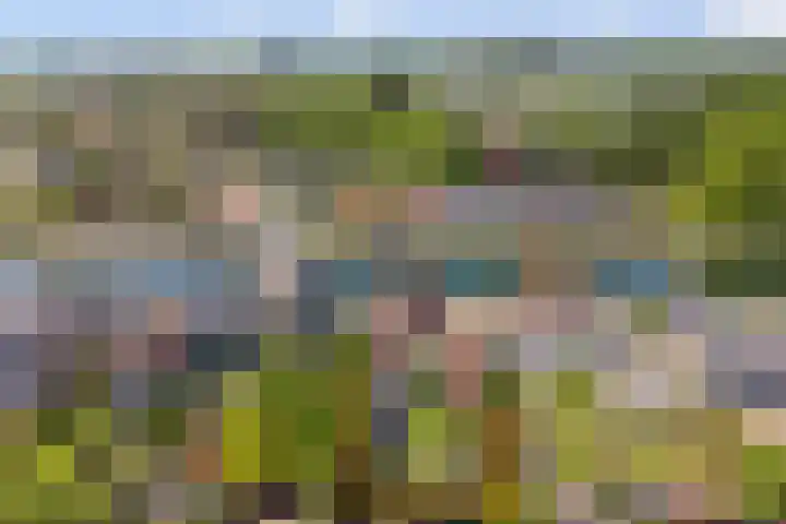 Oosthavendijk 37 Wilhelminadorp thumbnail 54