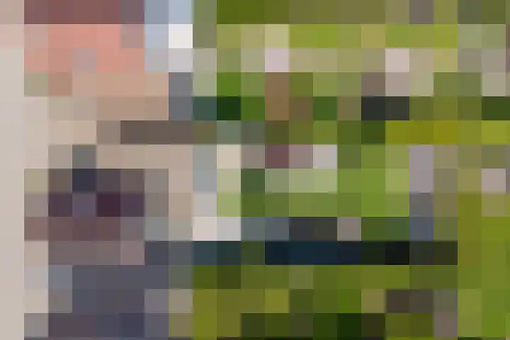 Oosthavendijk 37 Wilhelminadorp thumbnail 57