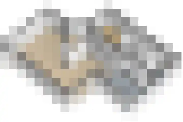 Oosthavendijk 37 Wilhelminadorp thumbnail 61