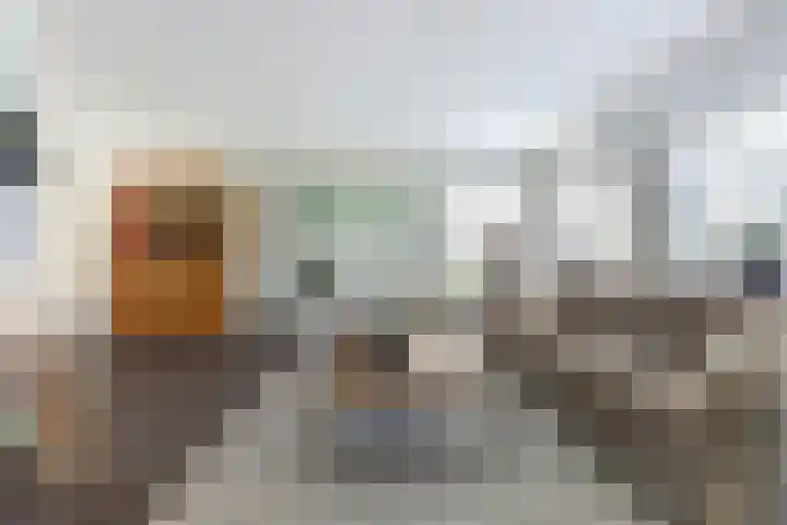 Oosthavendijk 37 Wilhelminadorp thumbnail 9