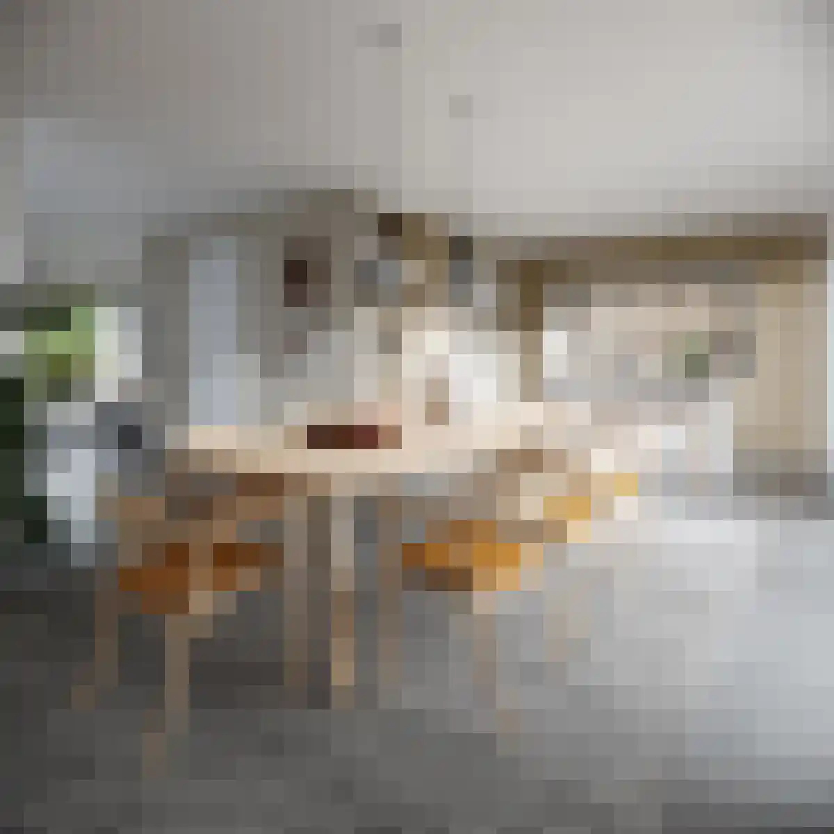 Oosthavendijk 42 Middelharnis thumbnail 4