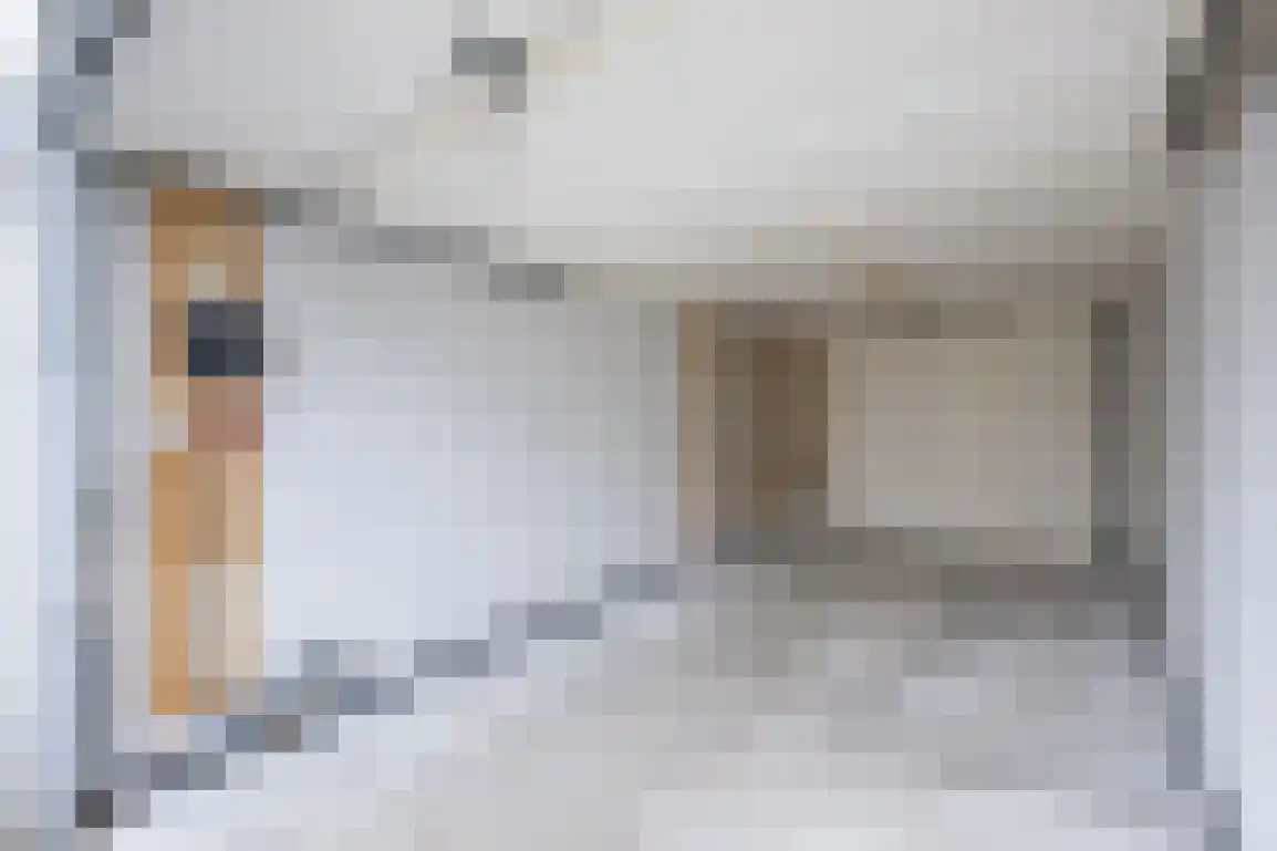 Oosthavendijk 46 b 3 Middelharnis thumbnail 4