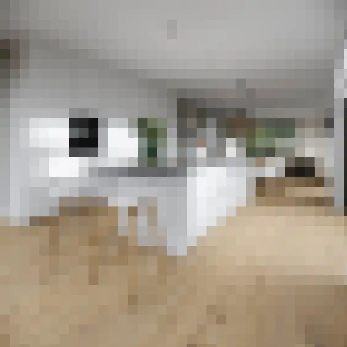 Oosthavendijk 48 Middelharnis thumbnail 5