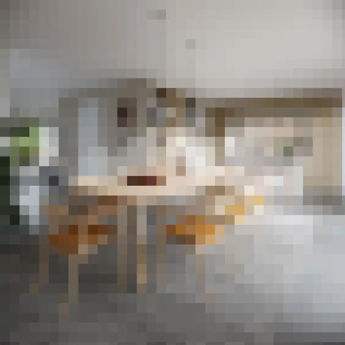 Oosthavendijk 48 Middelharnis thumbnail 5