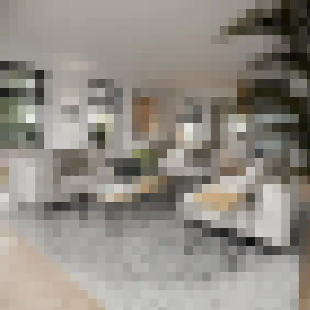 Oosthavendijk 48 Middelharnis thumbnail 6