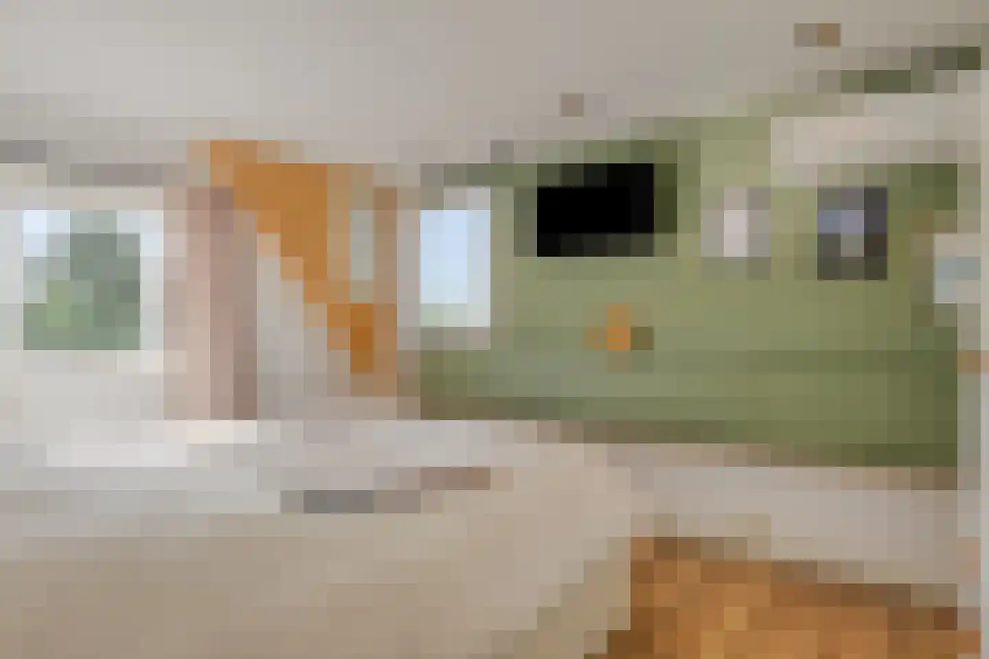 Oosthavendijk 49 Wilhelminadorp thumbnail 33