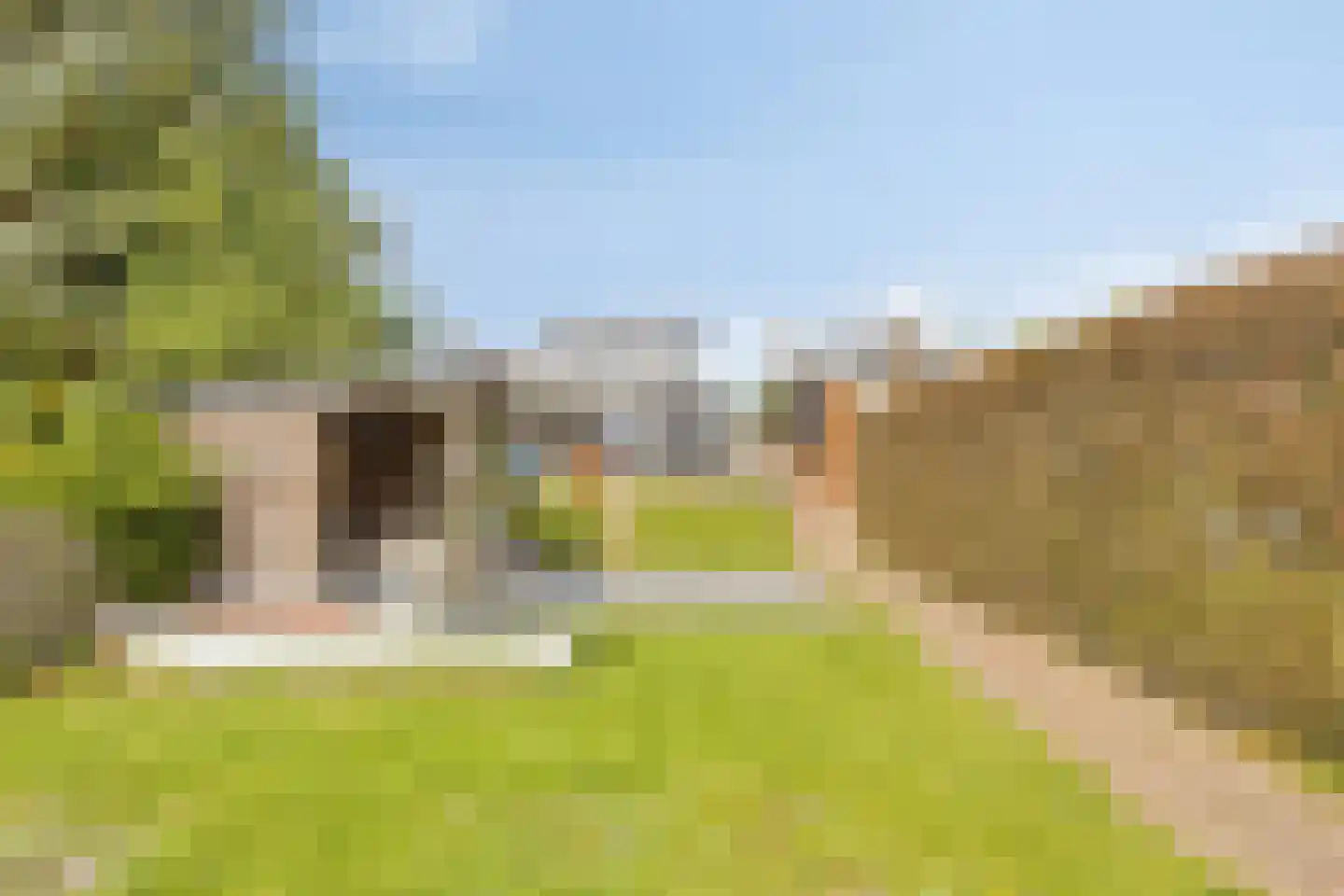 Oosthavendijk 49 Wilhelminadorp thumbnail 50
