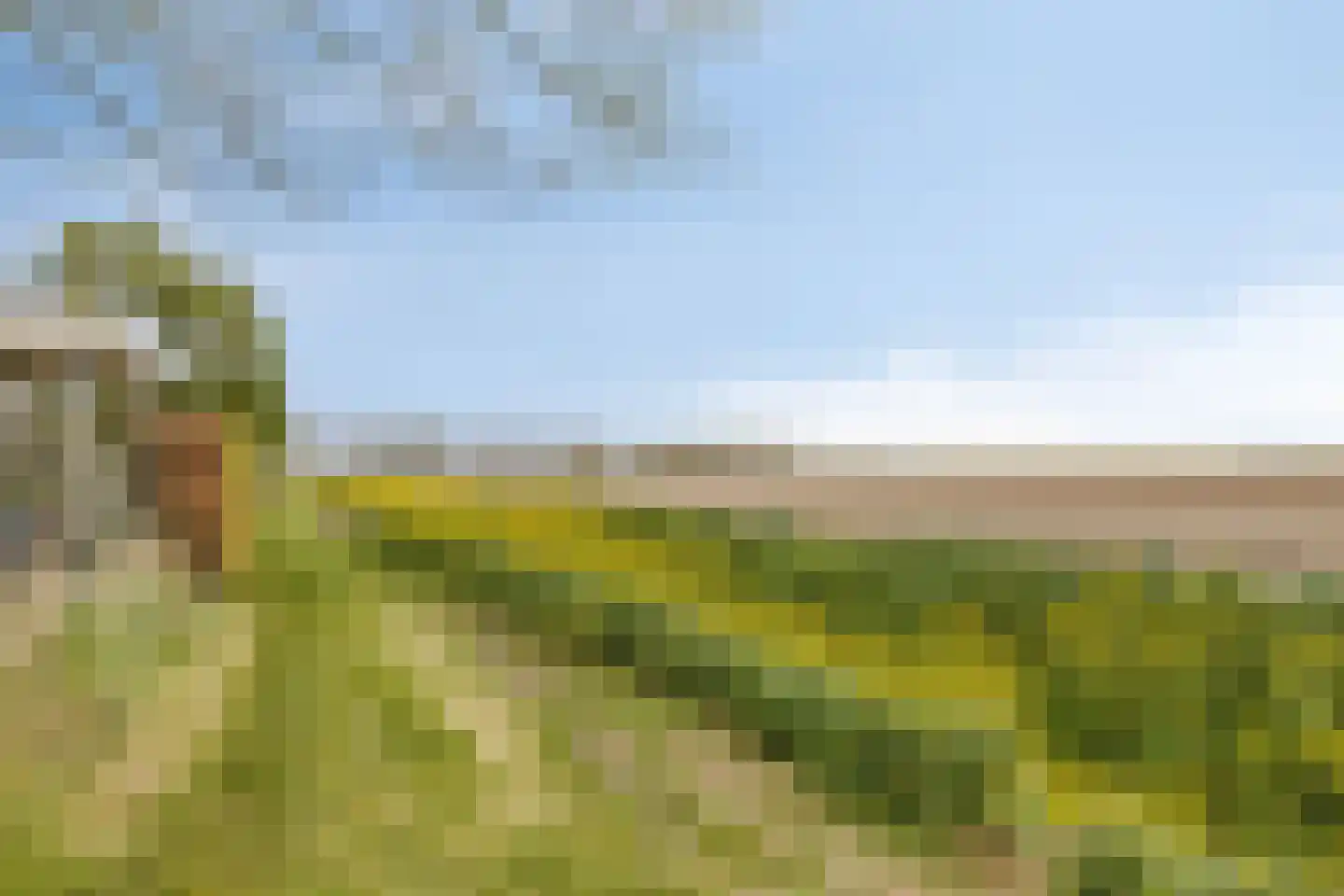 Oosthavendijk 49 Wilhelminadorp thumbnail 63