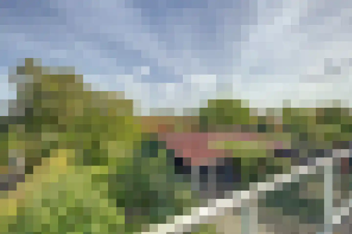 Oosthavendijk 79 Wilhelminadorp thumbnail 23
