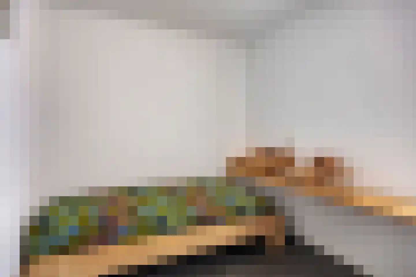 Oosthavendijk 79 Wilhelminadorp thumbnail 30