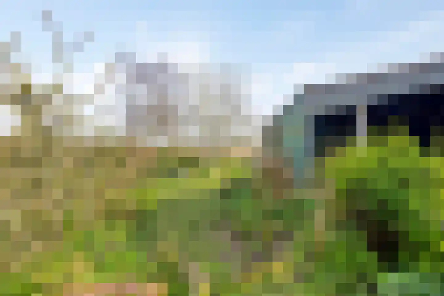 Oosthavendijk 79 Wilhelminadorp thumbnail 38