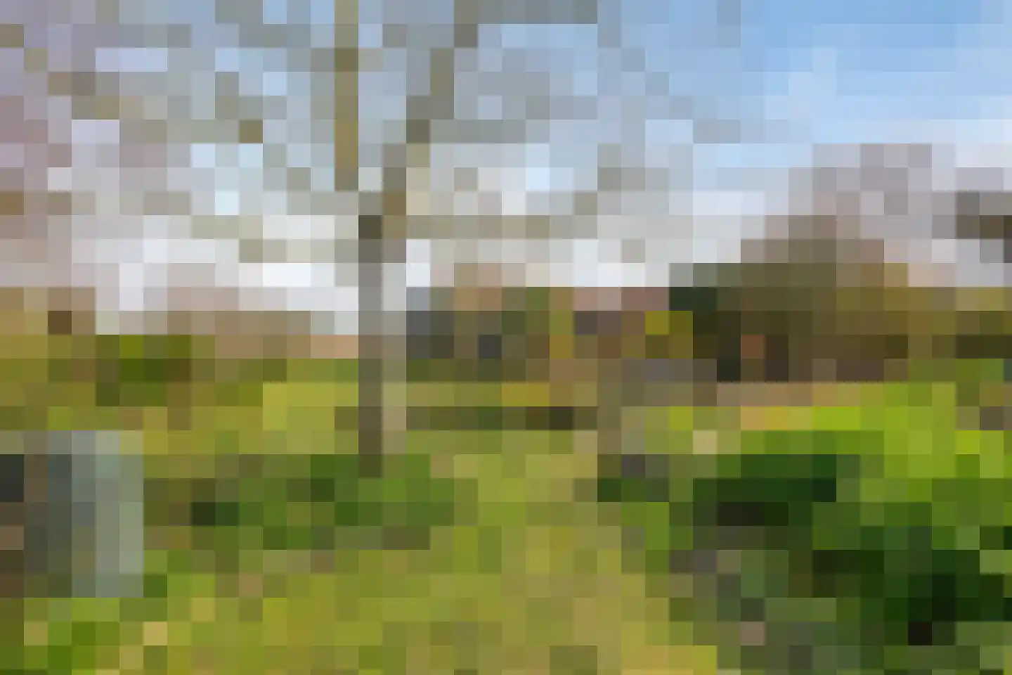 Oosthavendijk 79 Wilhelminadorp thumbnail 39