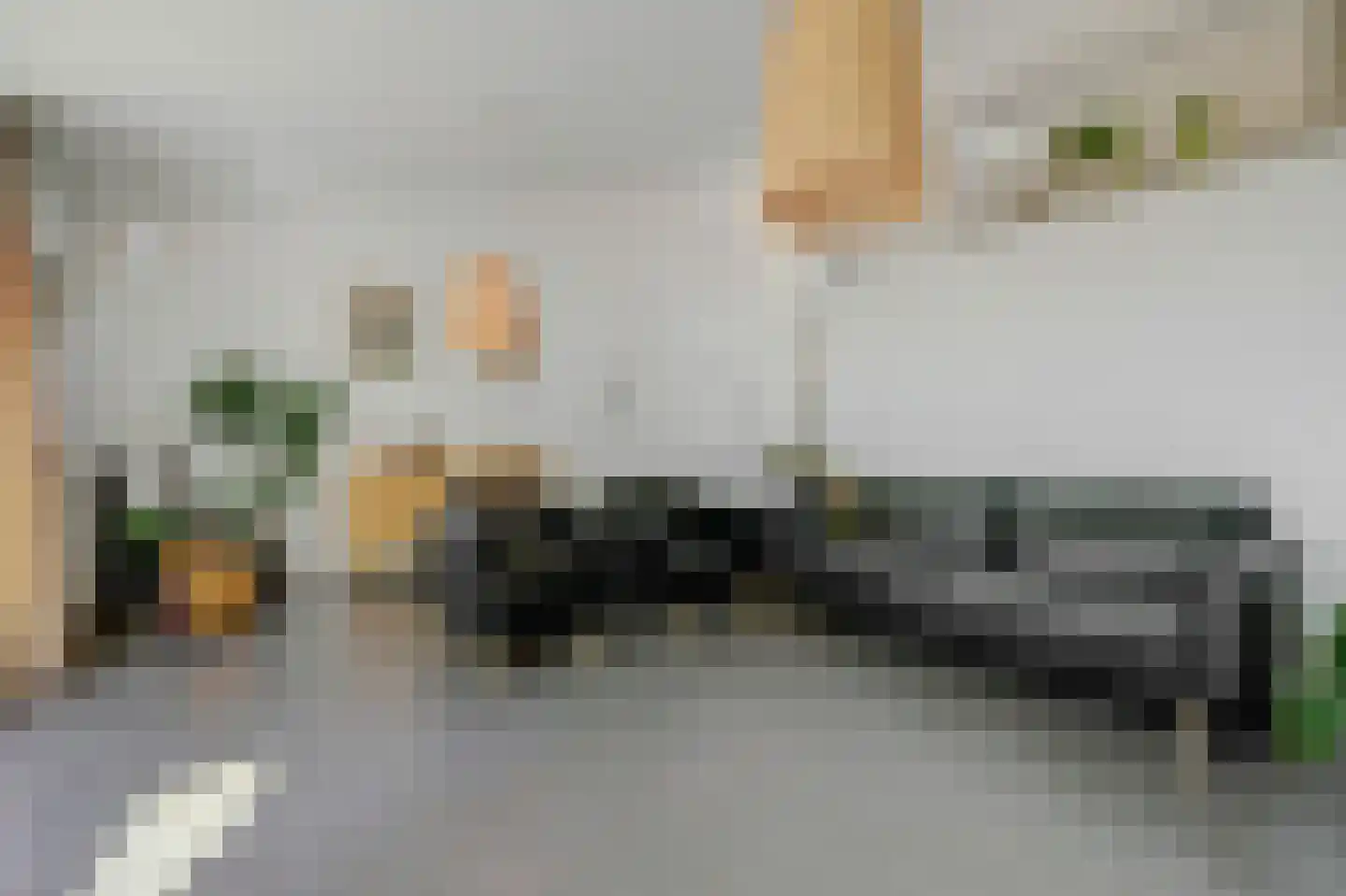 Oosthavendijk 79 Wilhelminadorp thumbnail 4