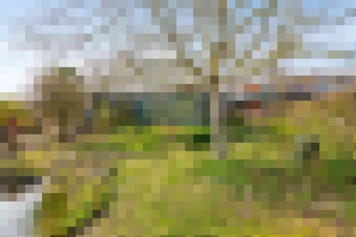Oosthavendijk 79 Wilhelminadorp thumbnail 40
