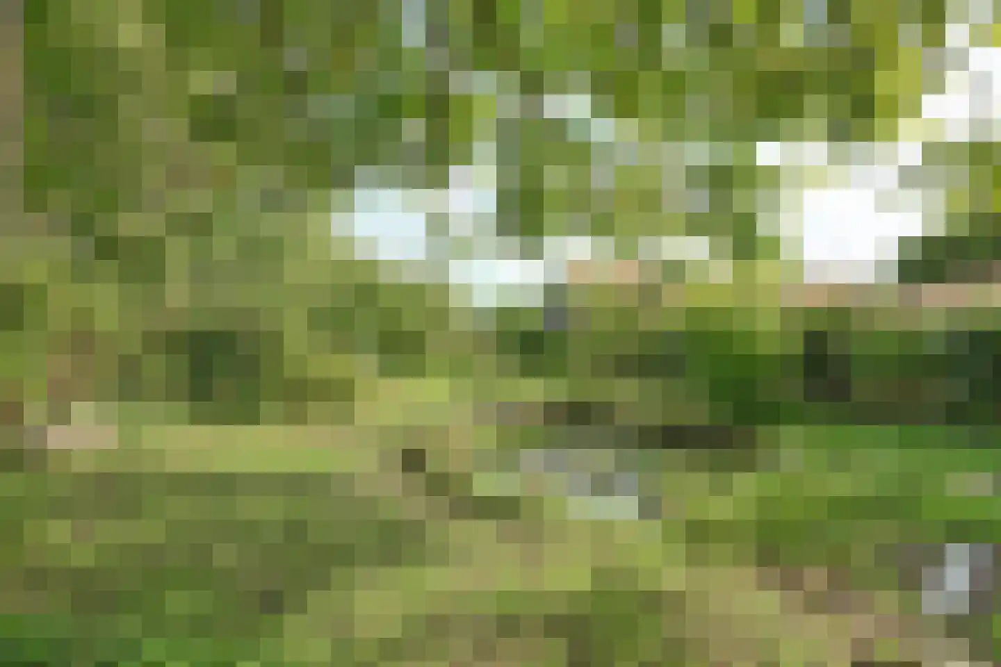 Oosthavendijk 79 Wilhelminadorp thumbnail 41