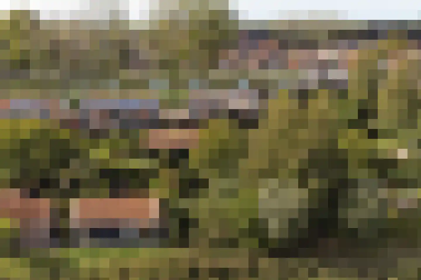 Oosthavendijk 79 Wilhelminadorp thumbnail 50